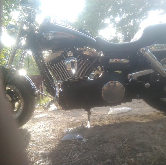 Meet your Posher, Thomas - Picture 4 of 7